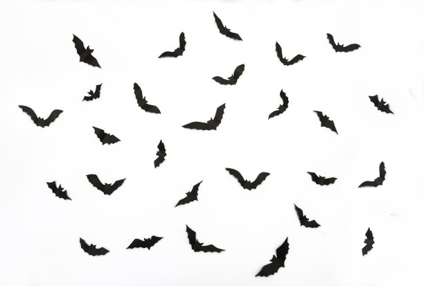 黑纸的俯视图，黑白背景和拷贝空间。万圣节派对装饰。图片下载