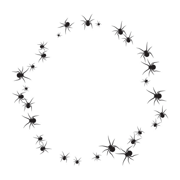 蜘蛛框架图片下载