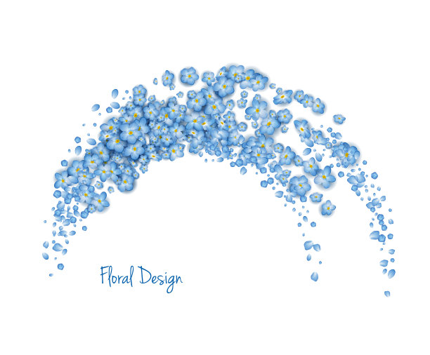 蓝飞的花朵图片下载