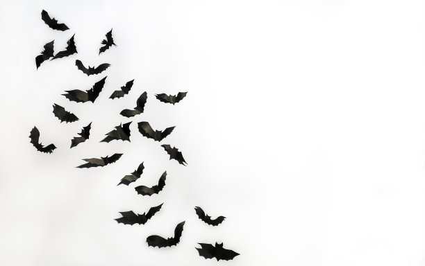 黑纸的俯视图，黑白背景和拷贝空间。万圣节派对装饰。图片下载