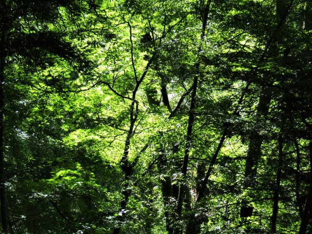 九月里晴朗的一天。Kinugawa的阳光和阴影图片下载