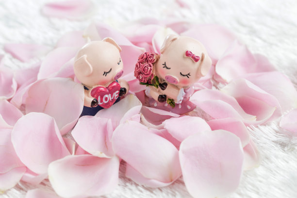 两只小猪在玫瑰花瓣上图片下载