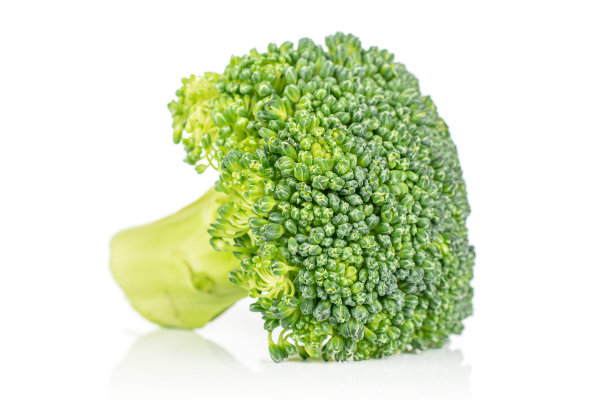 鲜绿花椰菜孤立在白色上图片下载