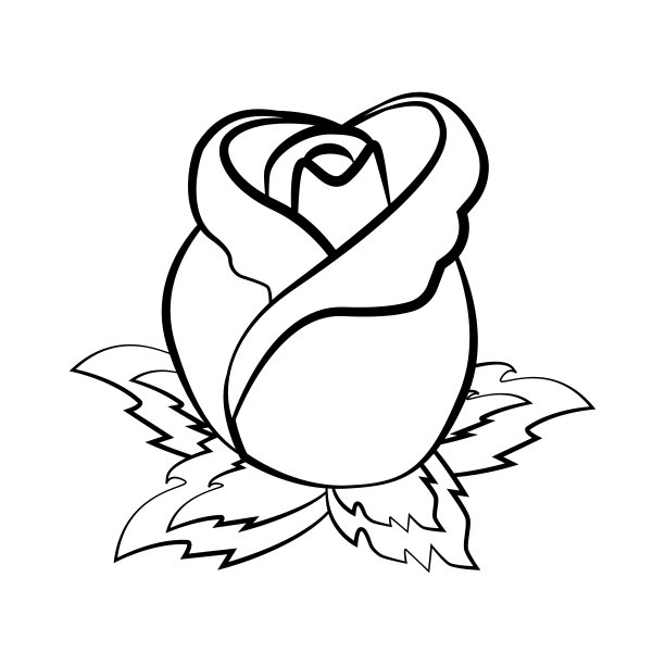 玫瑰花蕾花插图大纲图片下载