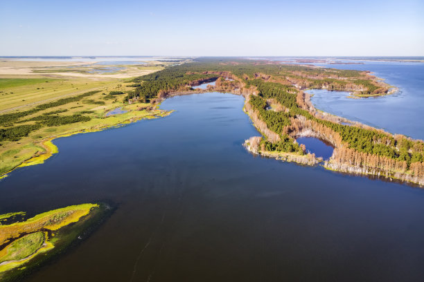 阿尔泰地区盐湖的顶视图。guseletovo村图片下载
