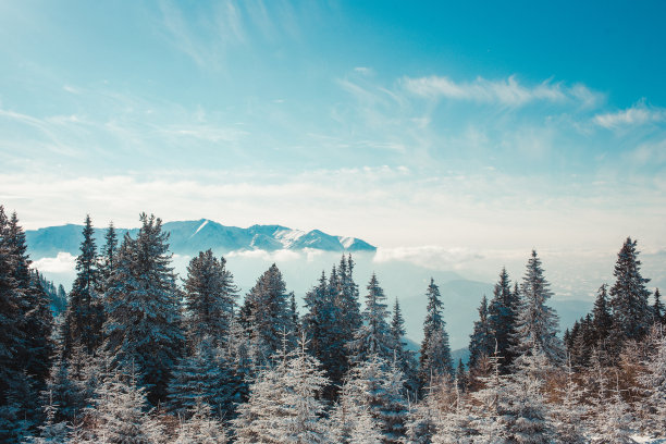 全景景观高海岸欧洲喀尔巴阡山脉。惊人的宽照片与复制粘贴空间。极限概念高危险登山滑雪阿尔卑斯山运动练习，设计输入图像。图片下载