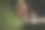在长时间曝光的黑/绿背景照片上抽象彩色不规则线条。光绘摄影。用于叠加的不规则图案的灯光图片下载
