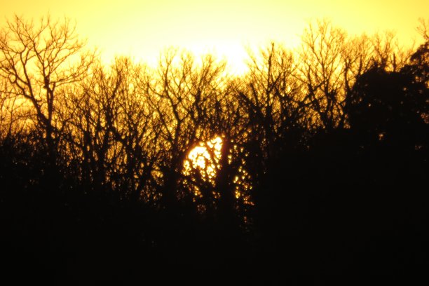 非洲日落图片下载