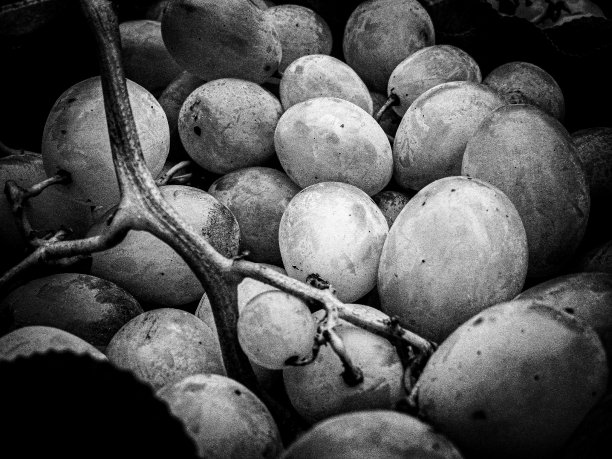 生活的来源图片下载