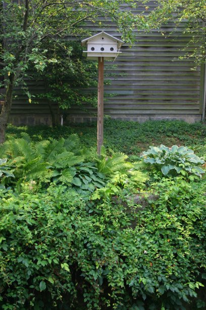 鸟屋和植物床图片下载