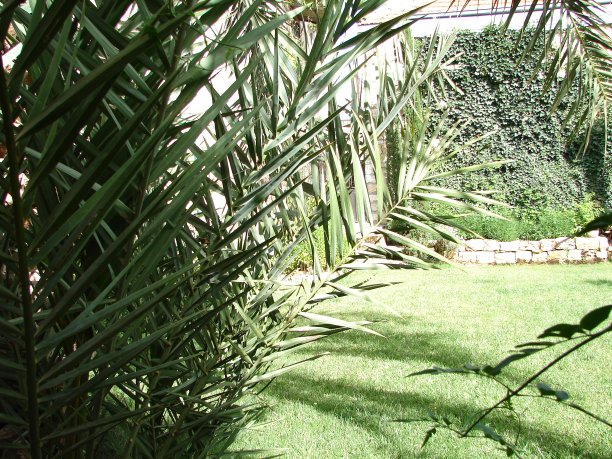 黎巴嫩的迪尔房间很漂亮图片下载