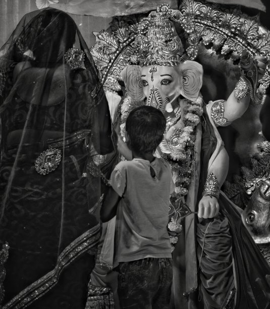 甘尼莎勋爵图片下载