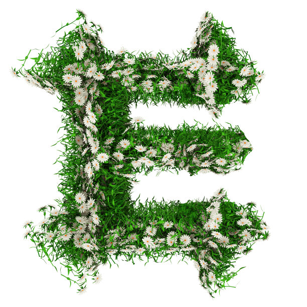 绿色的草和花的字母E。字体为您的设计。3D插图图片下载