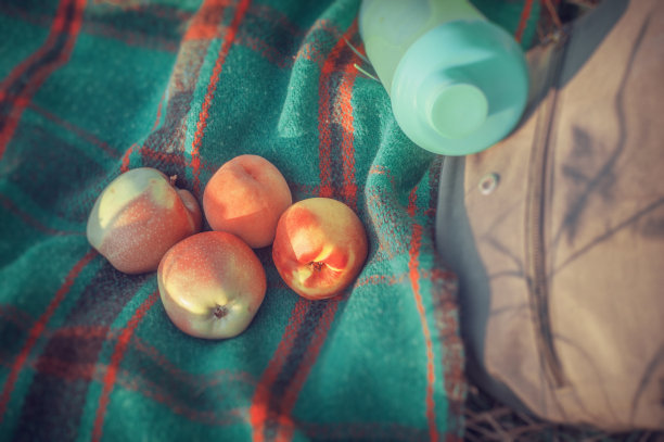 野餐配苹果图片下载