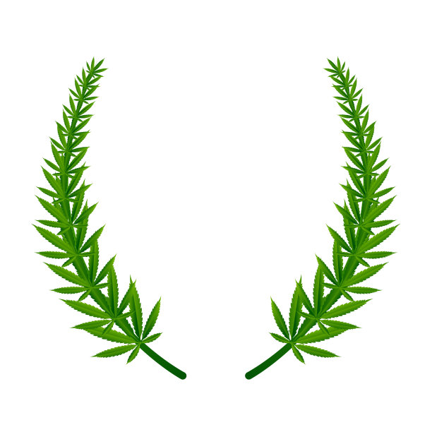 大麻和大麻叶绿色自然标志和符号模板向量图片下载