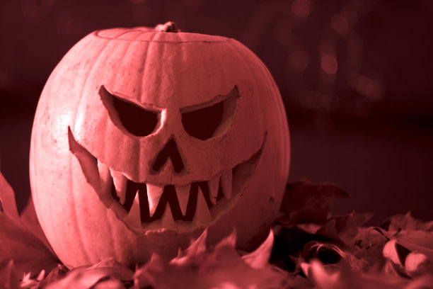 可怕的南瓜灯万圣节南瓜干叶图片下载