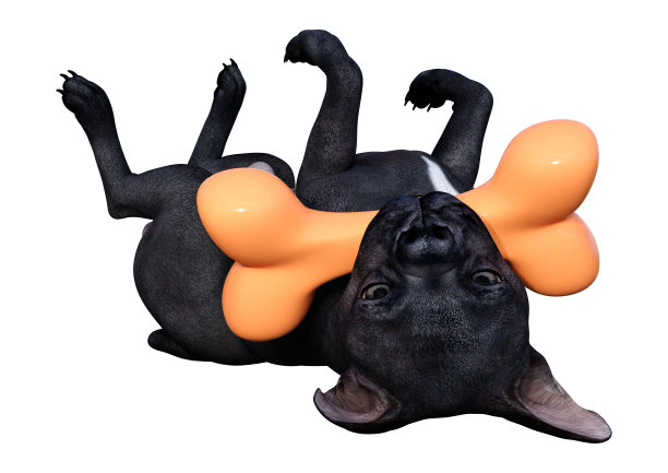 3D插图黑色法国斗牛犬在白色图片下载