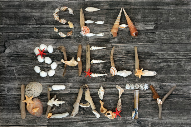 海贝美图片下载