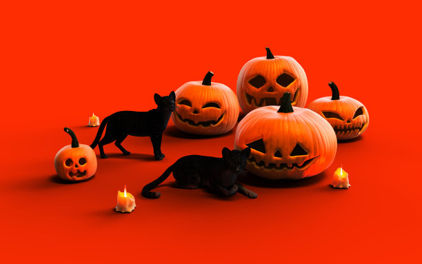 恐怖杰克灯万圣节南瓜和黑猫。图片下载