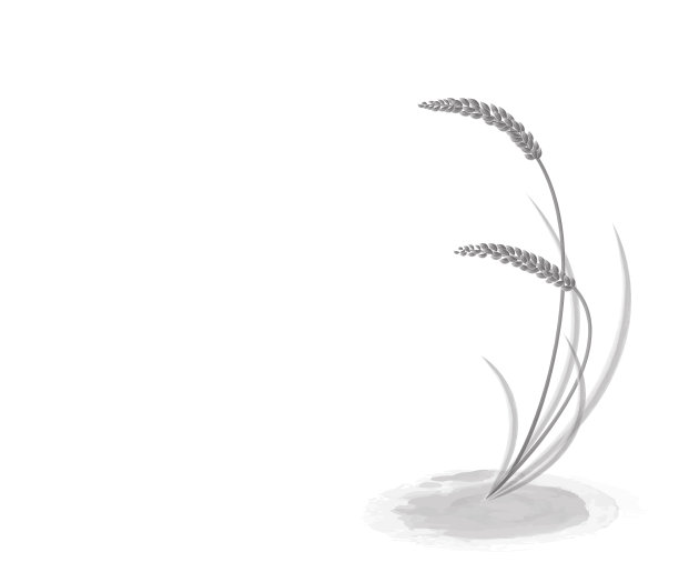 米在黑色和白色风格，矢量插图。图片下载