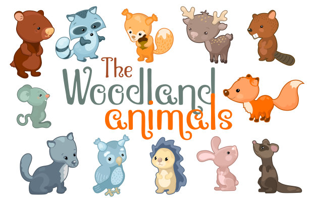 可爱的林地动物。在白色背景上的矢量插图动物字符集。图片下载
