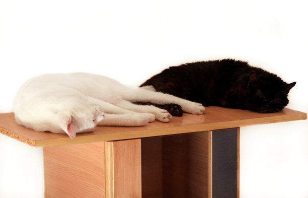 黑猫和白猫在公寓的客厅休息和睡觉。两只可爱的母猫在家里舒适的木制橱柜上享受着清晨的快乐。宠物的概念。图片下载