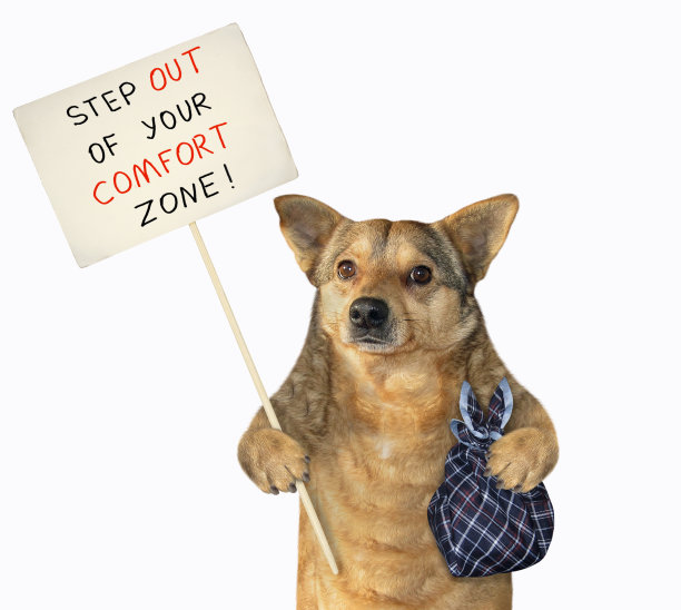 狗走出它的舒适区图片下载