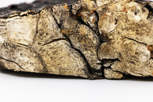 微距摄影的手工黑面包与木炭谷物和干果皮面粉细节-工作室照片上的白色背景图片下载