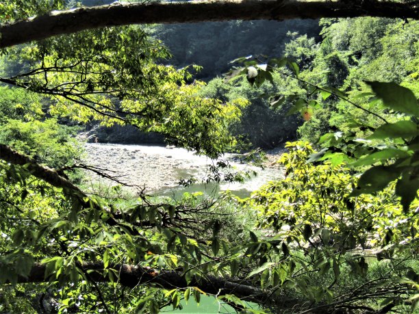 日本日光国家公园美丽的木奴川河景色图片下载