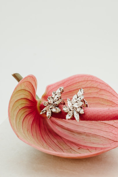 一对孤立闪亮的耳环，在粉红色的花图片下载