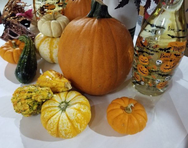 节日的万圣节派对装饰用南瓜，葫芦，和令人毛骨悚然的葡萄酒图片下载