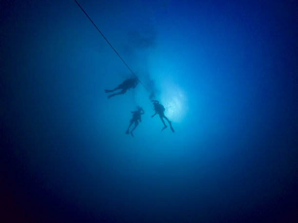 在上升线上潜水的剪影图片下载