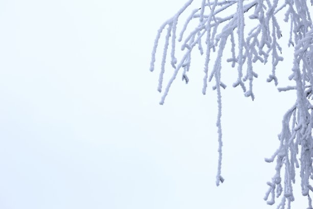 冬天的场景-下雪图片下载