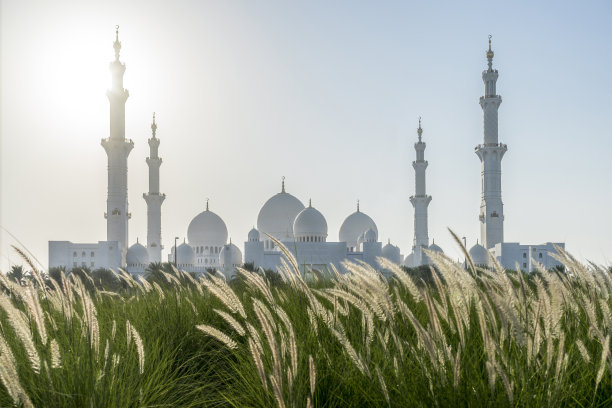 阿布扎比谢赫扎耶德大清真寺图片下载