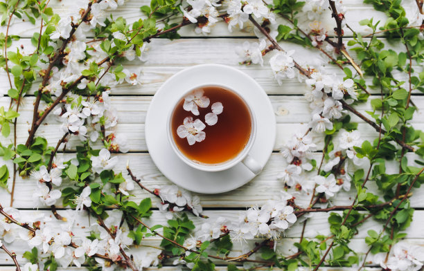 白色杯碟红茶杏花杏花枝。草药的概念。俯视图和复制空间。治疗感冒和流感。图片下载