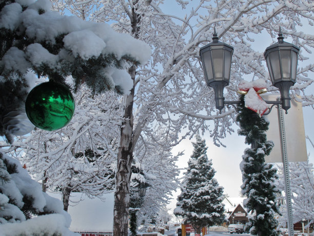 加州大熊湖的冬天图片下载