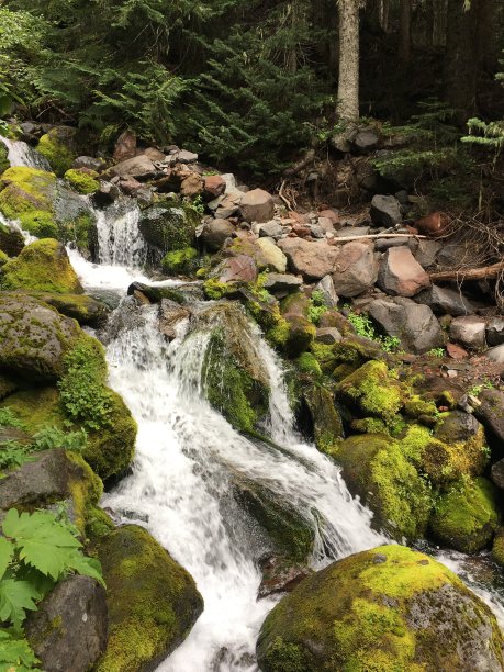 雷尼尔山国家公园的瀑布。图片下载