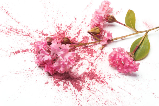 背景背景画图片下载