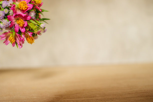 上方有圆形花束的空白空间图片下载