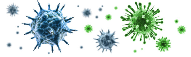分离病毒群图片下载