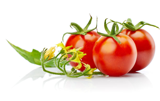 有绿叶和嫩枝花的西红柿。图片下载