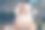自由职业女商人坐在笔记本电脑前用互联网思考寻找她的公司发展之路的照片图片下载