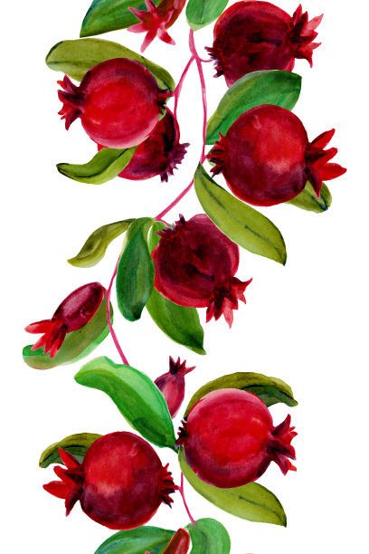 水彩垂直石榴无缝边界图片下载