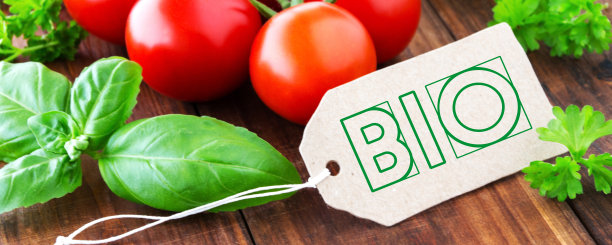 用罗勒和欧芹做横幅图片下载