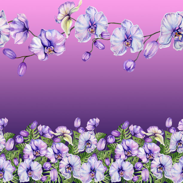 美丽的异国兰花花和怪物的叶子在梯度背景。无缝热带花卉图案，镶边。水彩画。手绘插图。图片下载