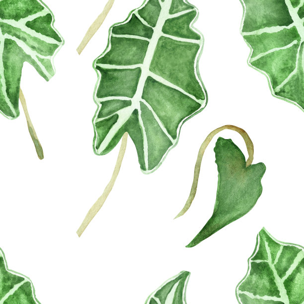 水彩手绘自然无缝图案热带绿叶与白色条纹和树枝孤立在白色背景有机纺织品和墙纸纹理图片下载