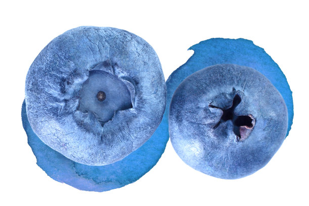 蓝莓和水彩飞溅孤立在白色图片下载