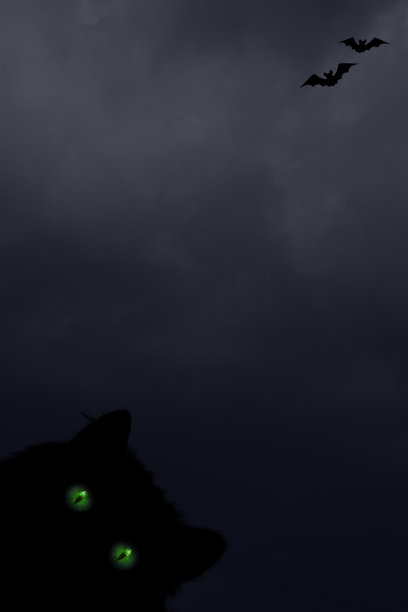 万圣节的垂直背景有黑猫和绿眼睛，蝙蝠的剪影图片下载