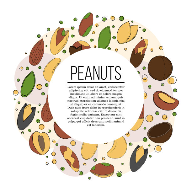 坚果卡的概念。矢量插图设计和网页，图片下载