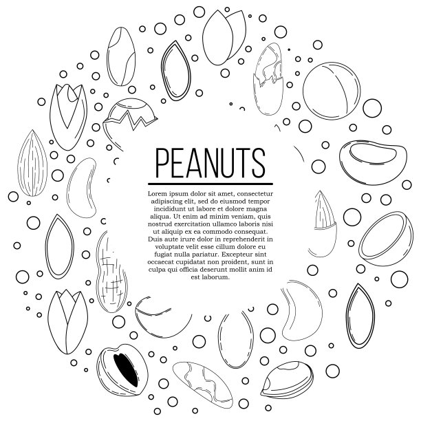 坚果卡的概念。矢量插图设计和网页，图片下载